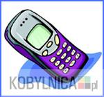 Bezpłatny Serwis Informacyjny SMS Gminy Kobylnica