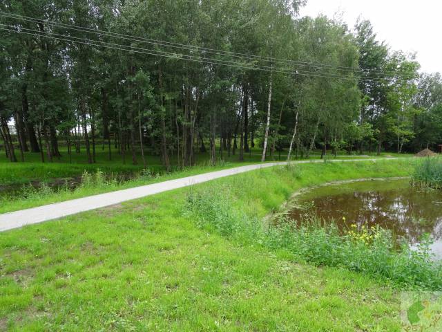 Budowa terenu rekreacyjnego wraz z budową infrastruktury towarzyszącej na dz. nr 178 w Bolesławicach