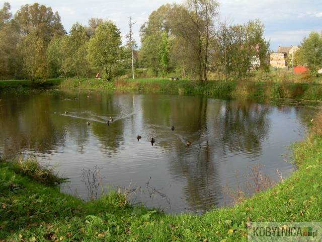 Park imienia Pierwszych Mieszkańców w Kobylnicy.