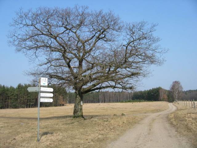 Szlak rowerowy Słupsk - Krępa - Lubuń - Żelkówko - Żelki - Leśny Dwór